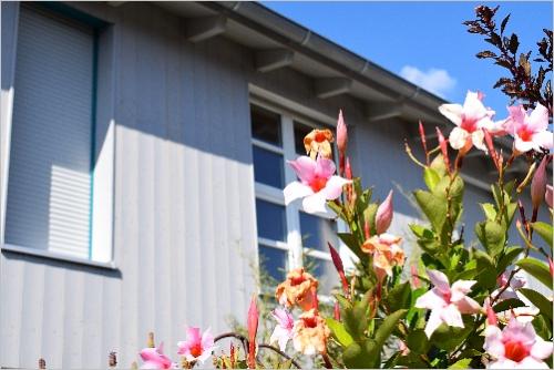 zimmerei holzbau thomas sedlmayr haspelmoor image 019